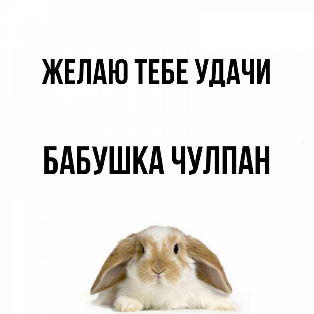 Открытка на каждый день с именем, Бабушка-Чулпан Желаю тебе удачи открытки с произвольным текстом который можно вставить в открытку и создать ее самостоятельно бесплатно онлайн Прикольная открытка с пожеланием онлайн скачать бесплатно 