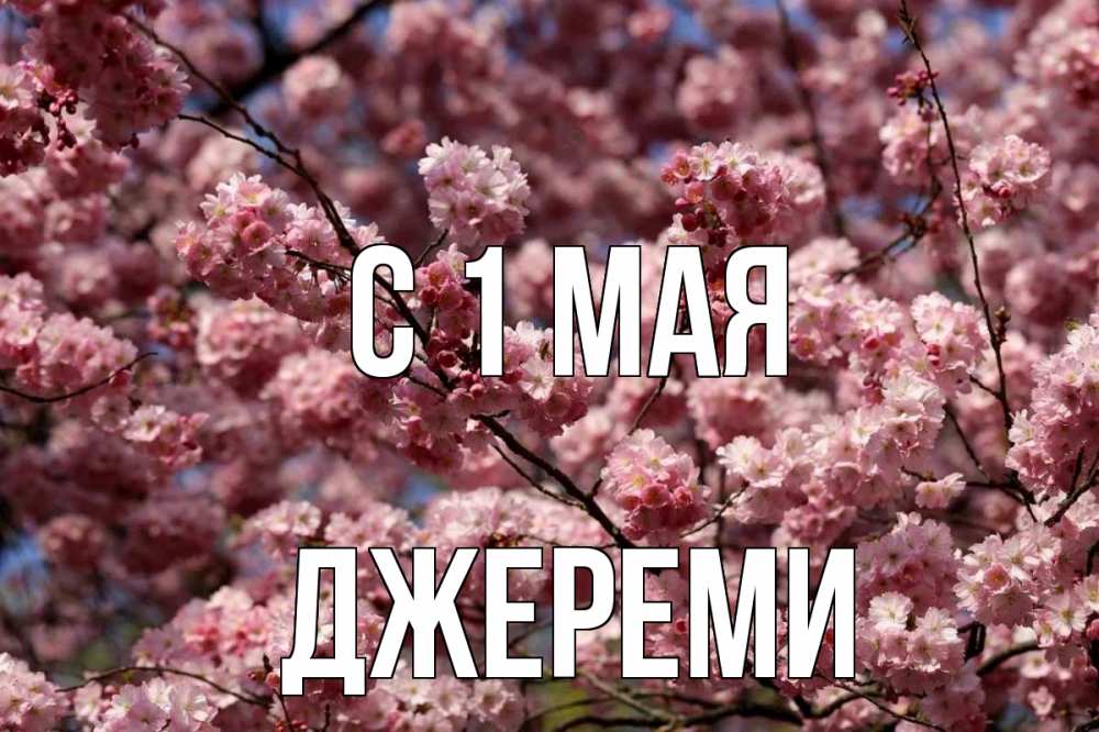 Открытка на каждый день с именем, Джереми С 1 мая С 1 мая Прикольная открытка с пожеланием онлайн скачать бесплатно 