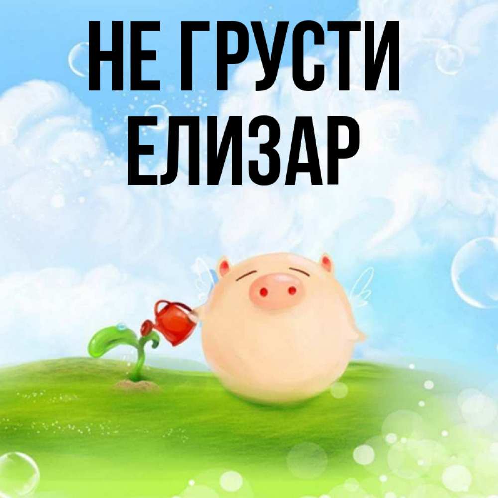 Открытка на каждый день с именем, Елизар Не грусти поливает цветок порося Прикольная открытка с пожеланием онлайн скачать бесплатно 