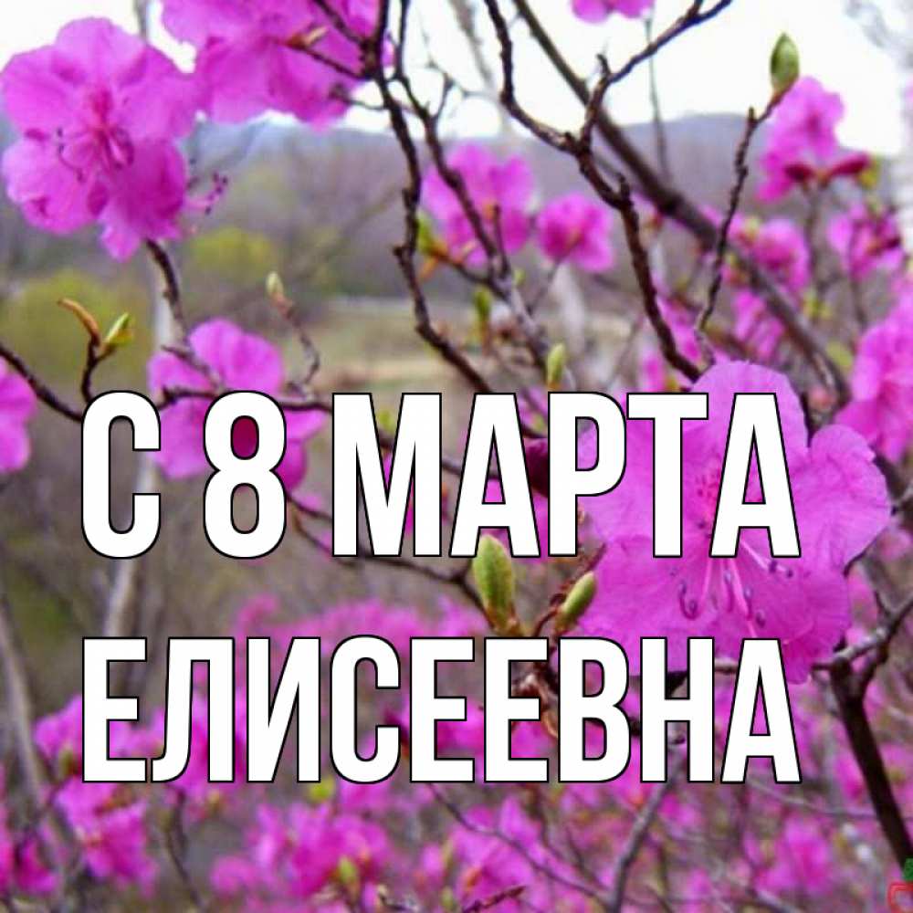 Открытка на каждый день с именем, Елисеевна С 8 МАРТА международный женский день Прикольная открытка с пожеланием онлайн скачать бесплатно 