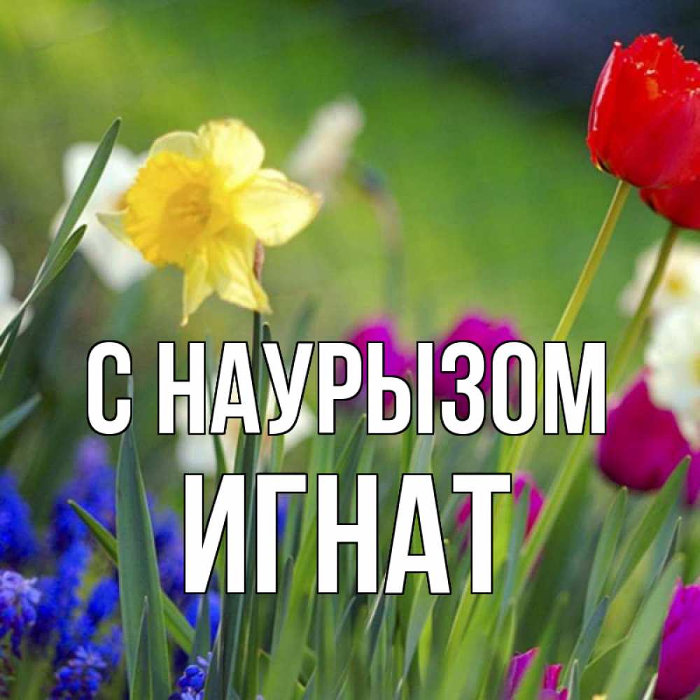 Открытка на каждый день с именем, Игнат С наурызом праздник весны наурыз 3 Прикольная открытка с пожеланием онлайн скачать бесплатно 