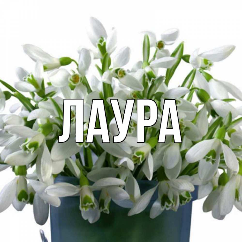 Открытка на каждый день с именем, Лаура Главная цветы к наурызу новый год в Казахстане Прикольная открытка с пожеланием онлайн скачать бесплатно 