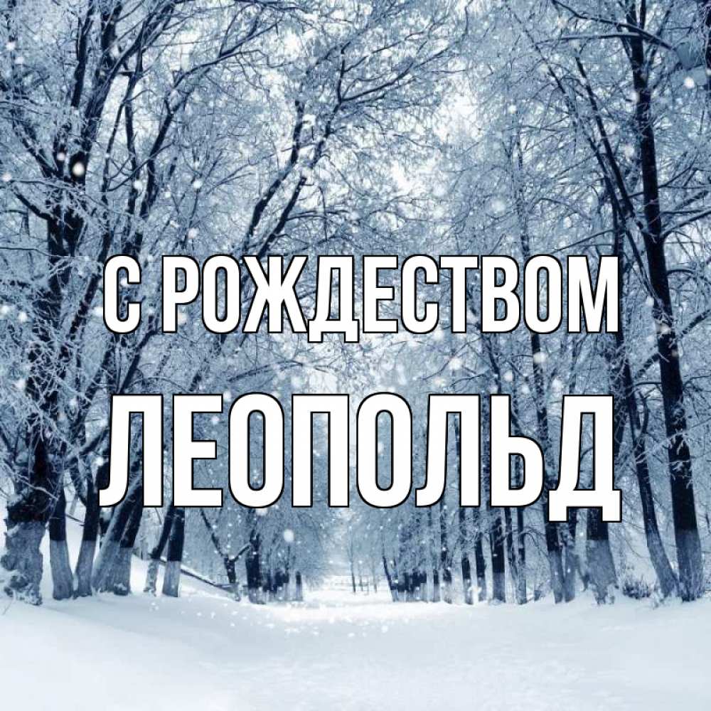 Открытка на каждый день с именем, Леопольд С рождеством снег, лес, парк Прикольная открытка с пожеланием онлайн скачать бесплатно 