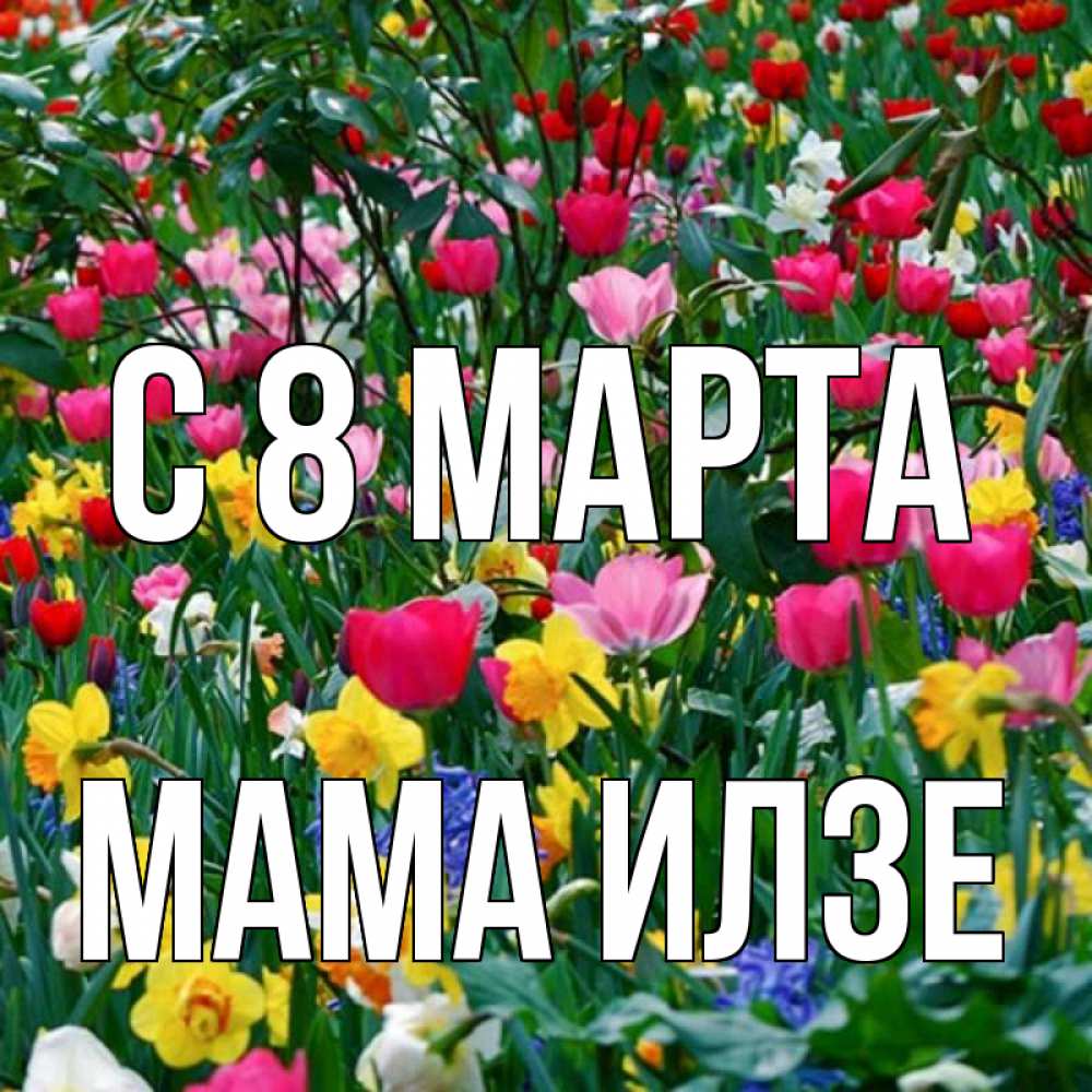 Открытка на каждый день с именем, Мама-Илзе С 8 марта с международным женским днем поздравления для женщины Прикольная открытка с пожеланием онлайн скачать бесплатно 