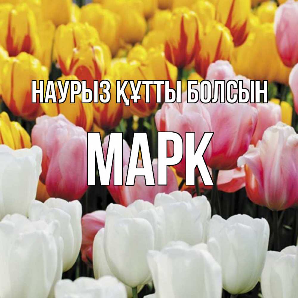 Открытка на каждый день с именем, Марк Наурыз құтты болсын разноцветные цветы Прикольная открытка с пожеланием онлайн скачать бесплатно 