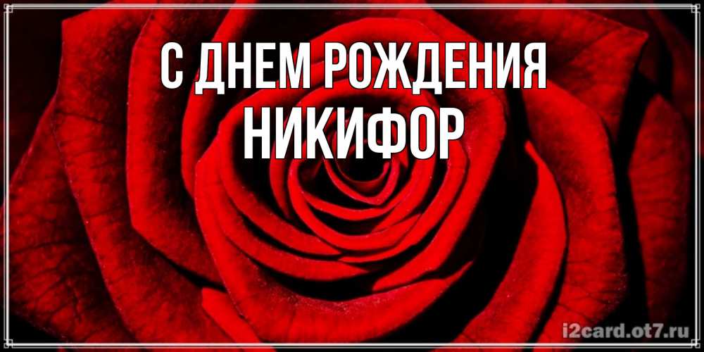 Открытка на каждый день с именем, Никифор С днем рождения алая роза Прикольная открытка с пожеланием онлайн скачать бесплатно 