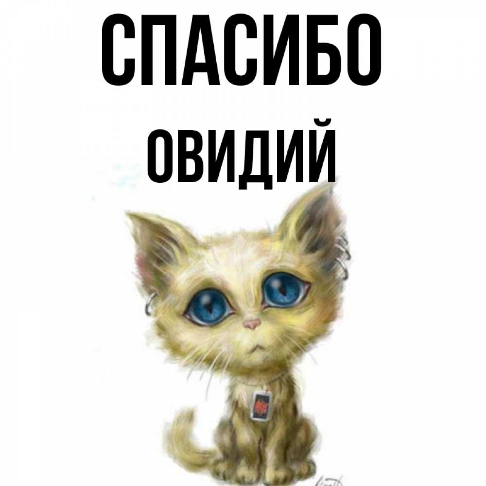 Открытка на каждый день с именем, Овидий Спасибо рисованный кот благодарит вас Прикольная открытка с пожеланием онлайн скачать бесплатно 