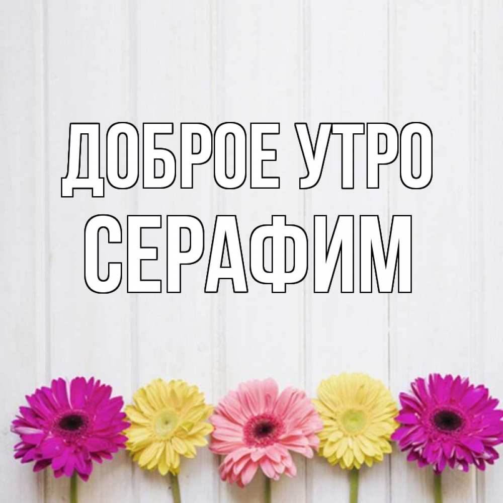 Открытка на каждый день с именем, Серафим Доброе утро красный желтый и розовый цветок Прикольная открытка с пожеланием онлайн скачать бесплатно 