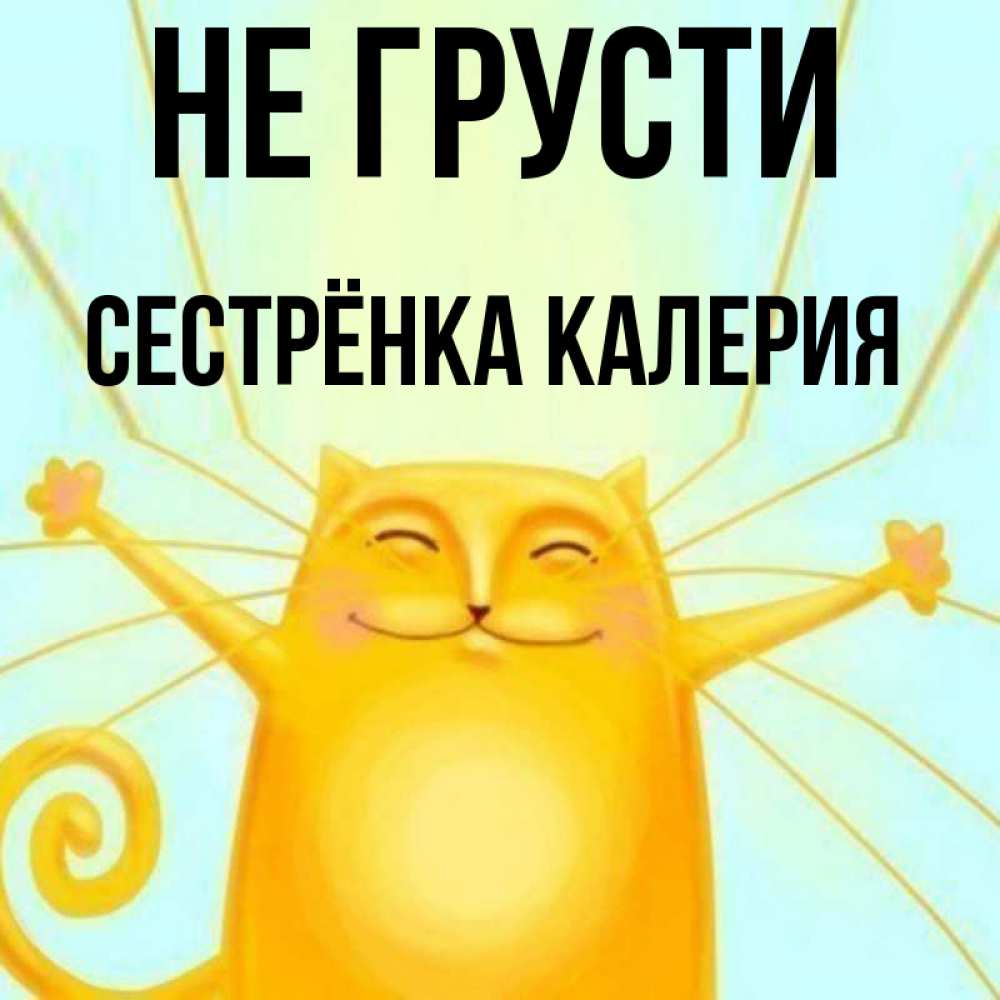 Открытка на каждый день с именем, Сестрёнка-Калерия Не грусти обнимашки усатые Прикольная открытка с пожеланием онлайн скачать бесплатно 