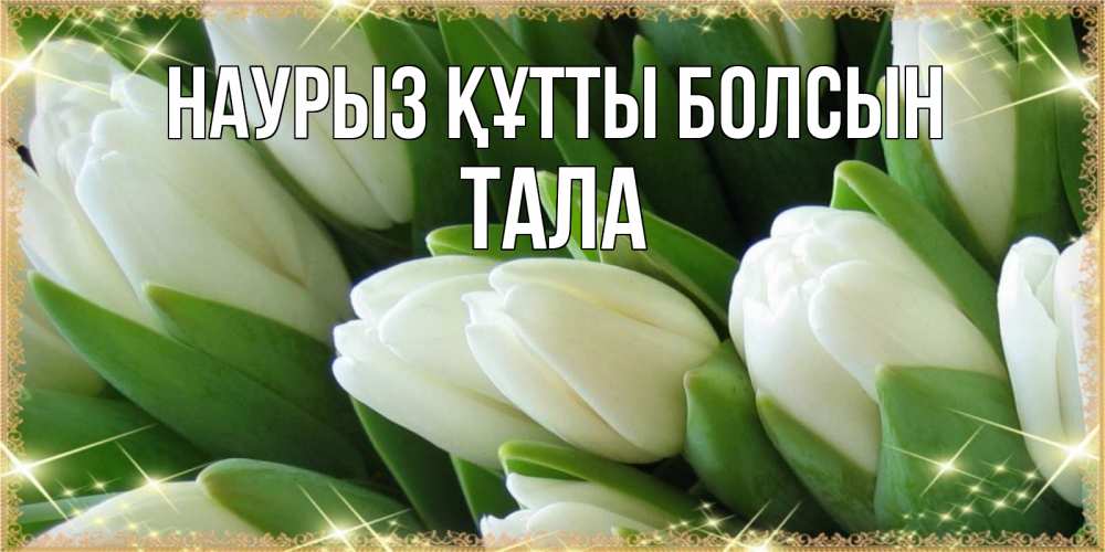 Открытка на каждый день с именем, Тала Наурыз құтты болсын поздравляем с наурызом Прикольная открытка с пожеланием онлайн скачать бесплатно 