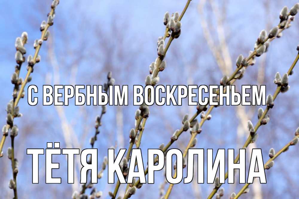 Открытка на каждый день с именем, Тётя-Каролина С вербным воскресеньем верба Прикольная открытка с пожеланием онлайн скачать бесплатно 