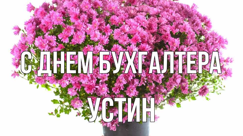Открытка на каждый день с именем, Устин С днем бухгалтера с днем бухгалтера Прикольная открытка с пожеланием онлайн скачать бесплатно 