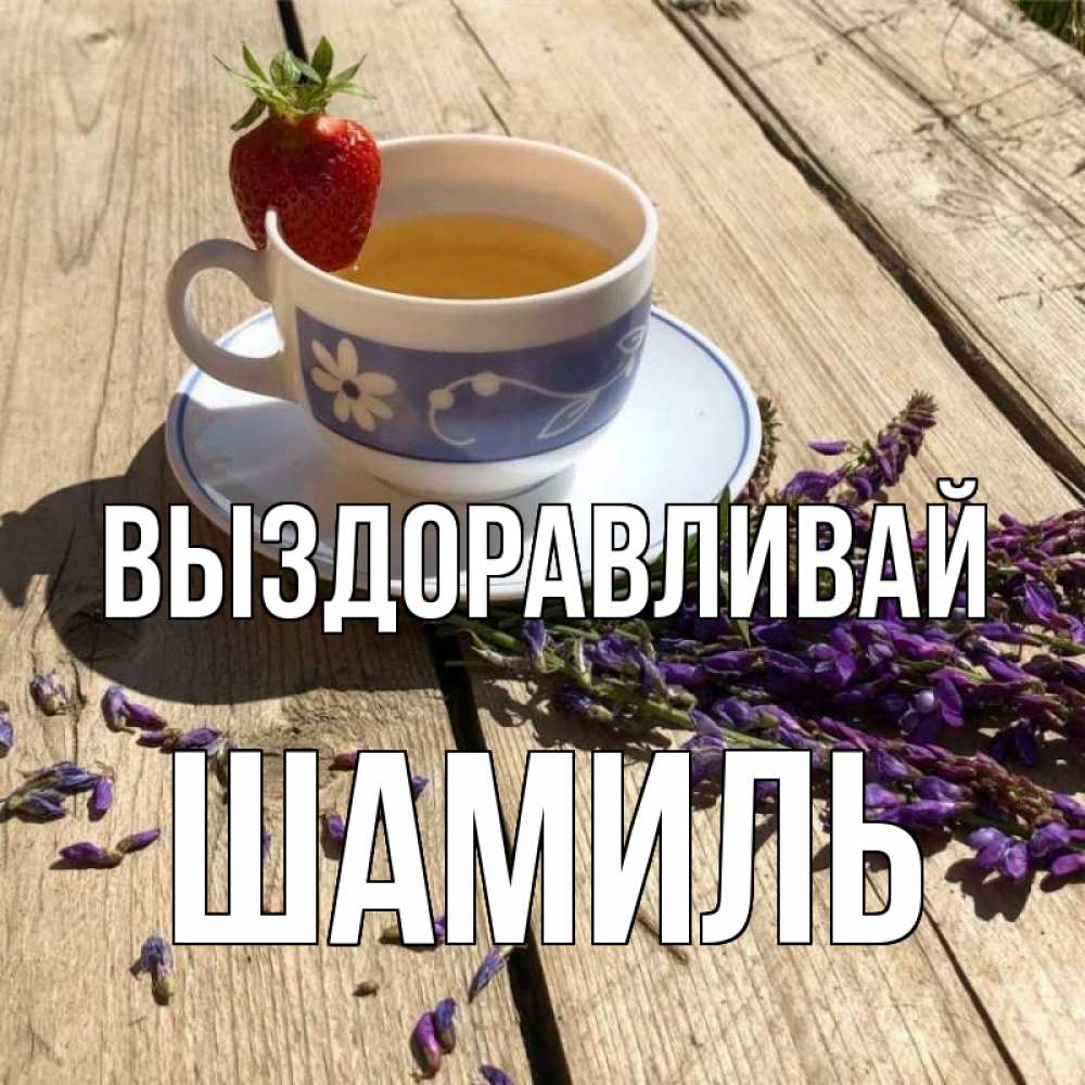 Открытка на каждый день с именем, Шамиль Выздоравливай чай Прикольная открытка с пожеланием онлайн скачать бесплатно 