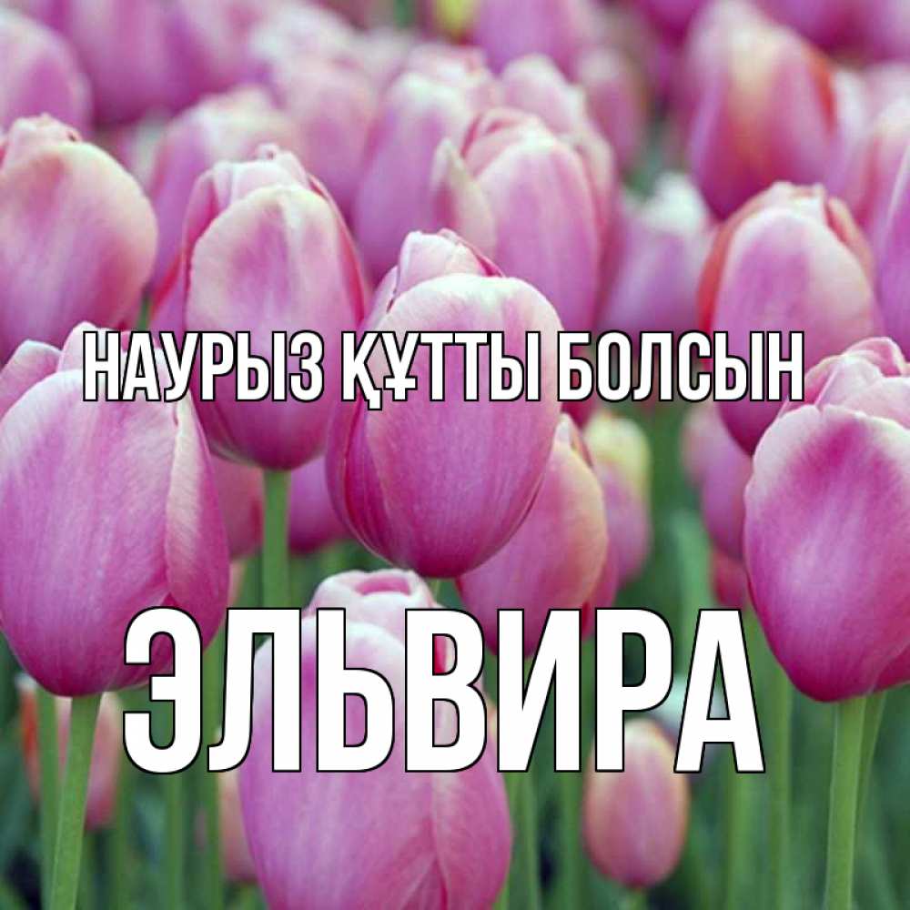 Открытка на каждый день с именем, Эльвира Наурыз құтты болсын на наурыз  день 3 Прикольная открытка с пожеланием онлайн скачать бесплатно 