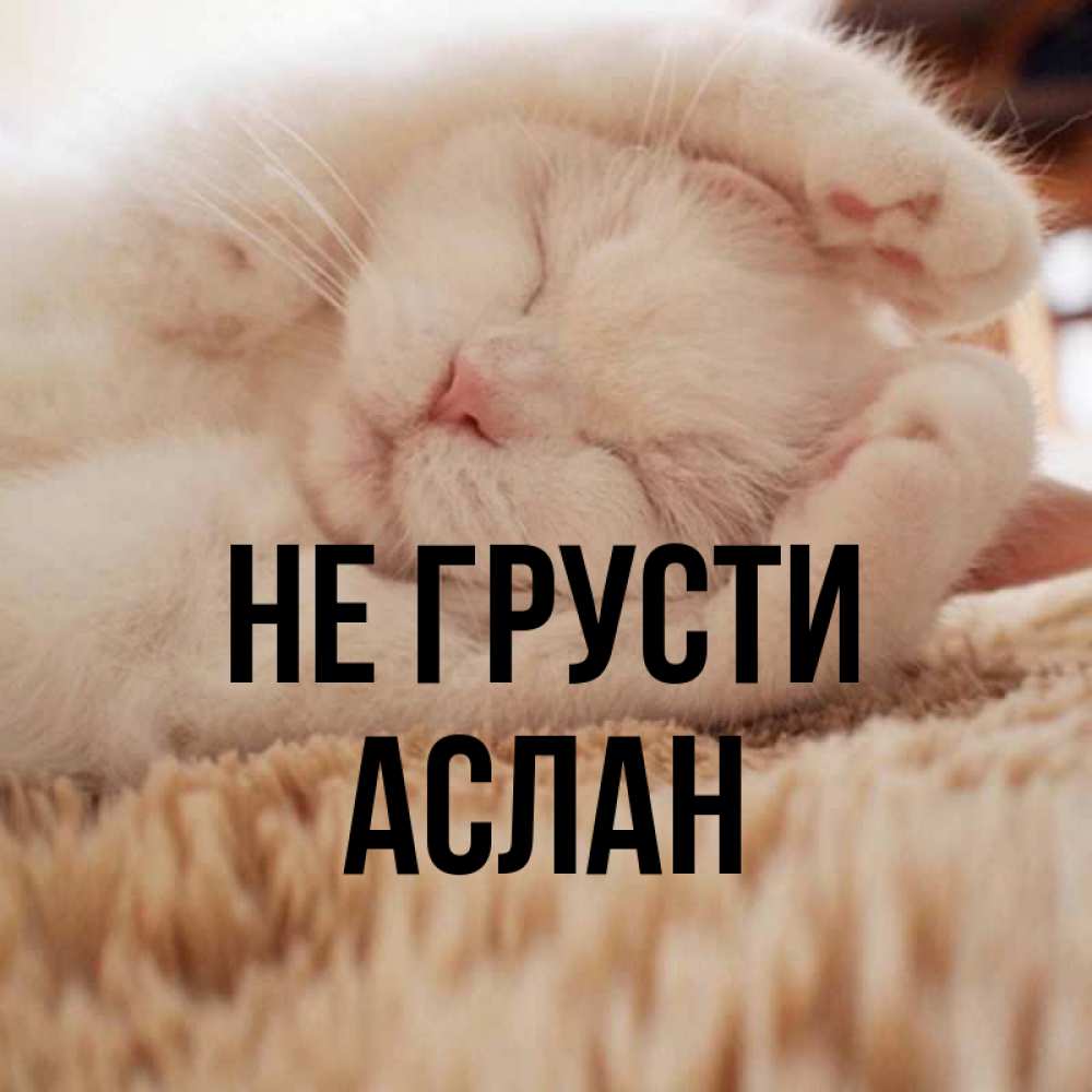 Открытка на каждый день с именем, АСЛАН Не грусти Котенок спит Прикольная открытка с пожеланием онлайн скачать бесплатно 