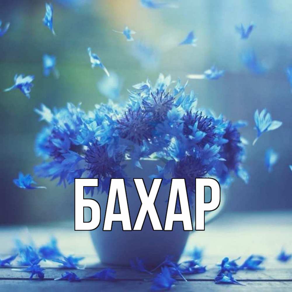 Открытка на каждый день с именем, Бахар Главная кружка с зельем и цветами Прикольная открытка с пожеланием онлайн скачать бесплатно 