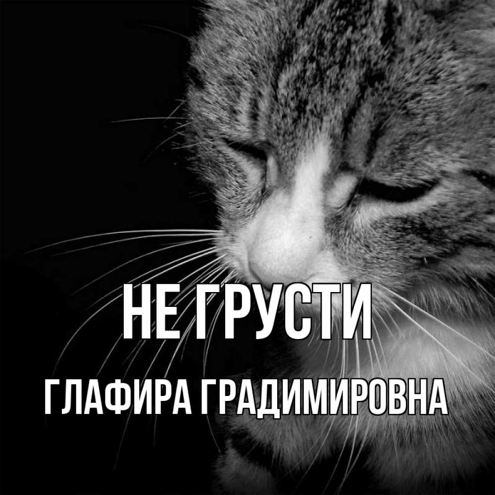 Картинка Не грусти, Глафира Градимировна