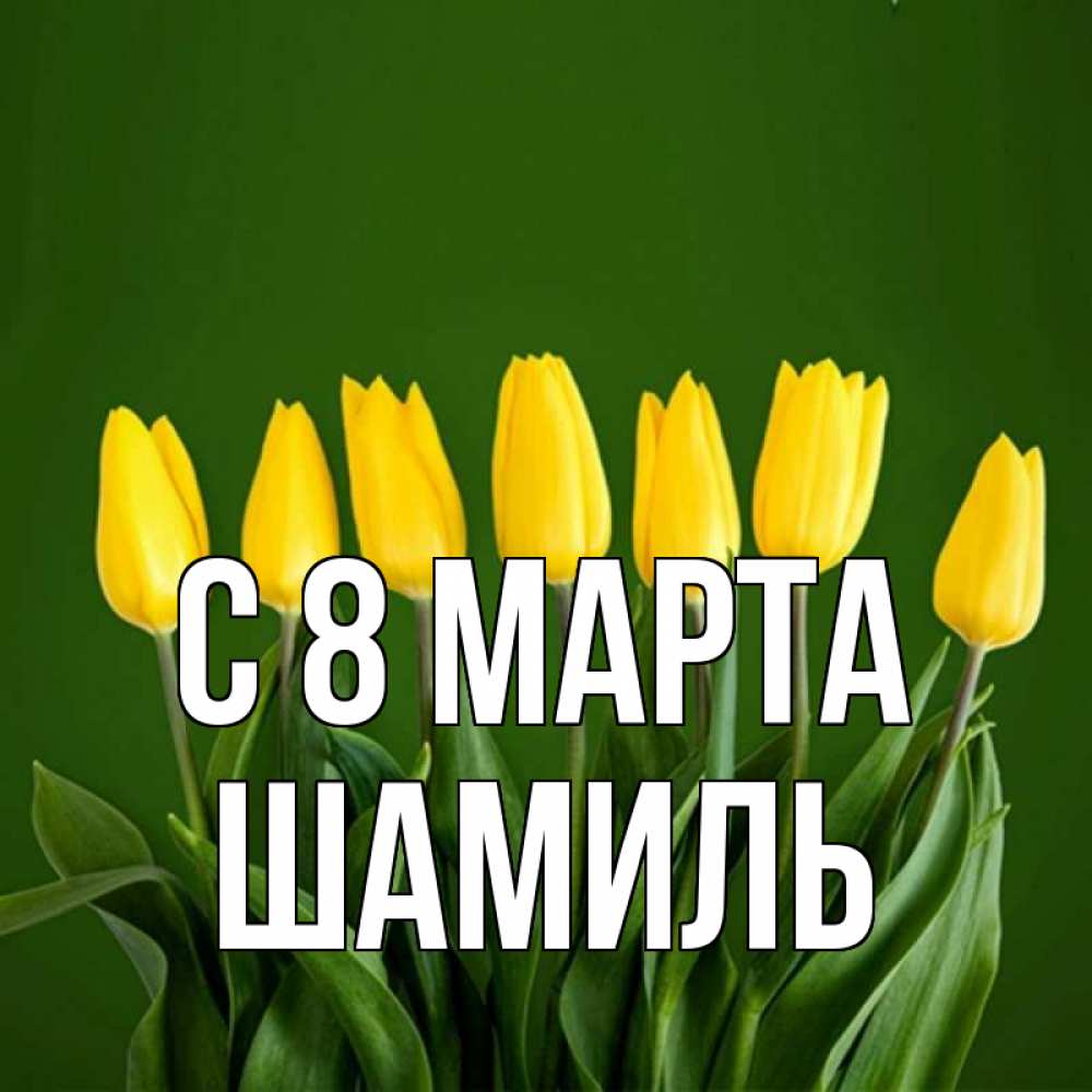 Открытка на каждый день с именем, Шамиль С 8 марта желтого цвета 3 Прикольная открытка с пожеланием онлайн скачать бесплатно 