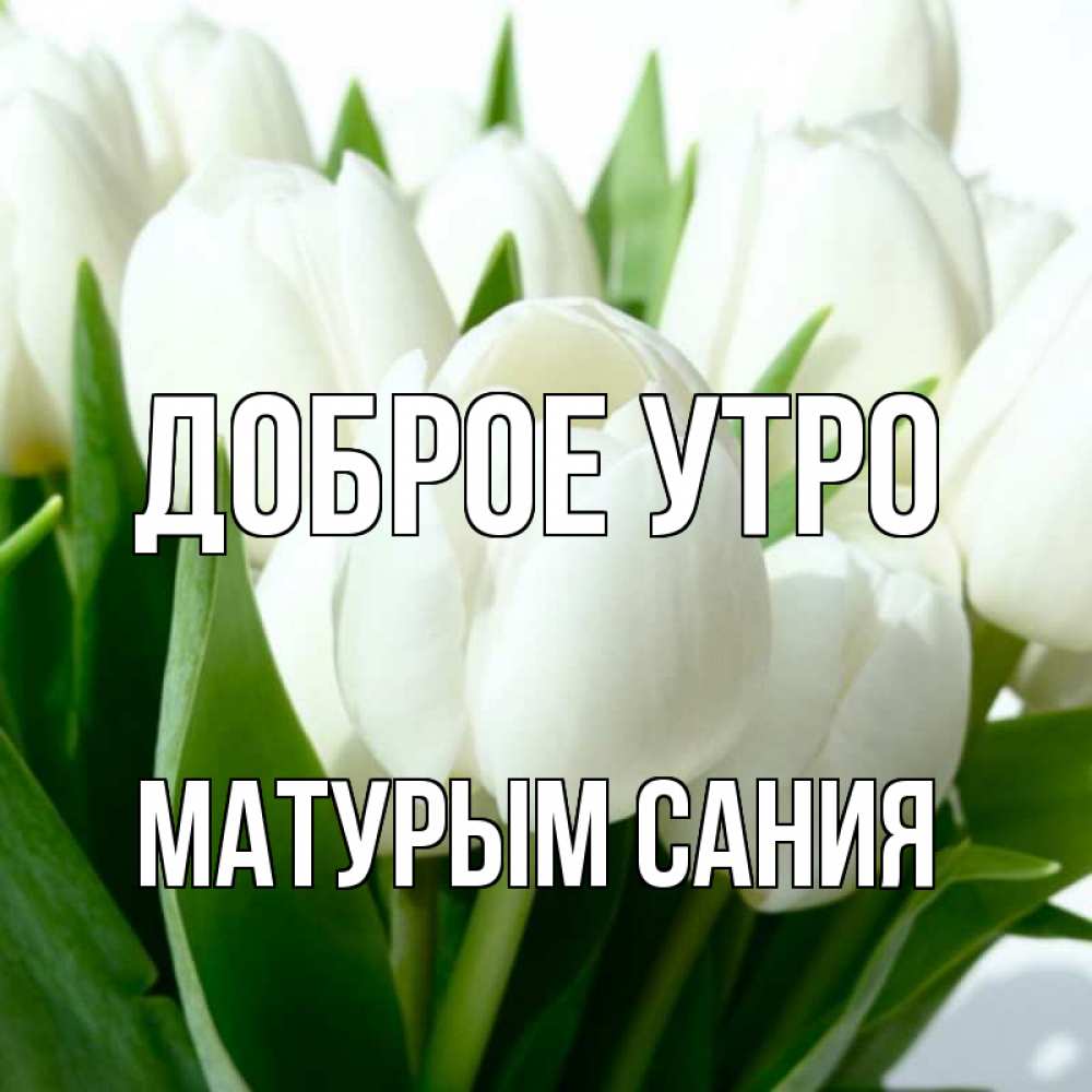 Доброе утро матурым картинки