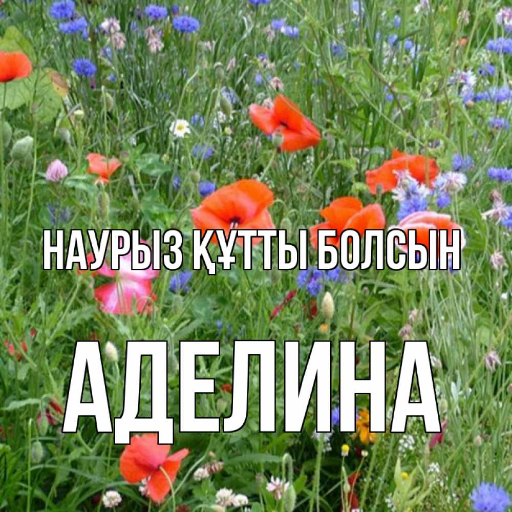 Открытка на каждый день с именем, Аделина Наурыз құтты болсын наурыз  4 Прикольная открытка с пожеланием онлайн скачать бесплатно 