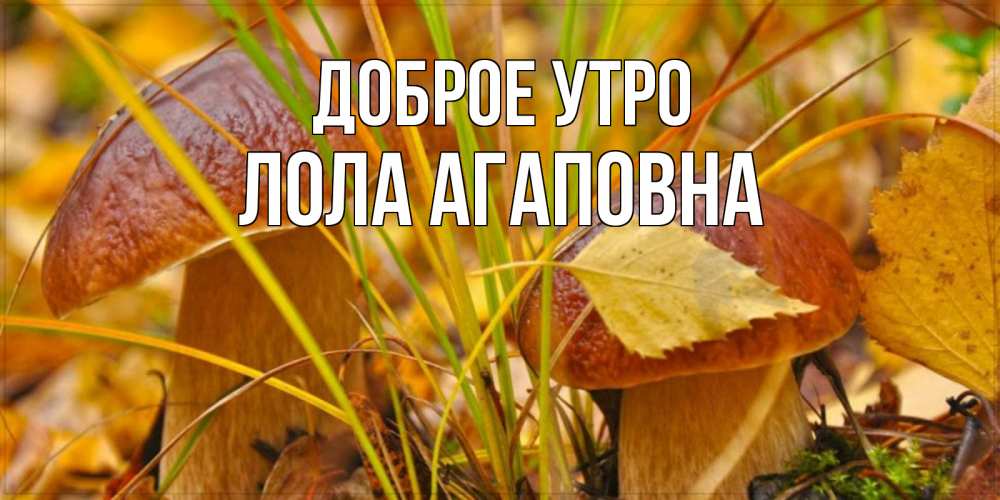 Картинка Доброе утро, Лола Агаповна