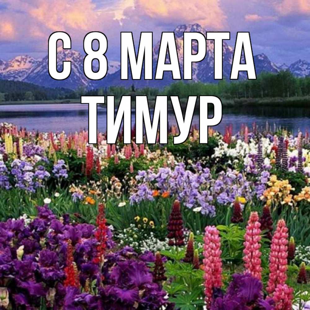 Открытка на каждый день с именем, Тимур С 8 МАРТА международный женский день Прикольная открытка с пожеланием онлайн скачать бесплатно 