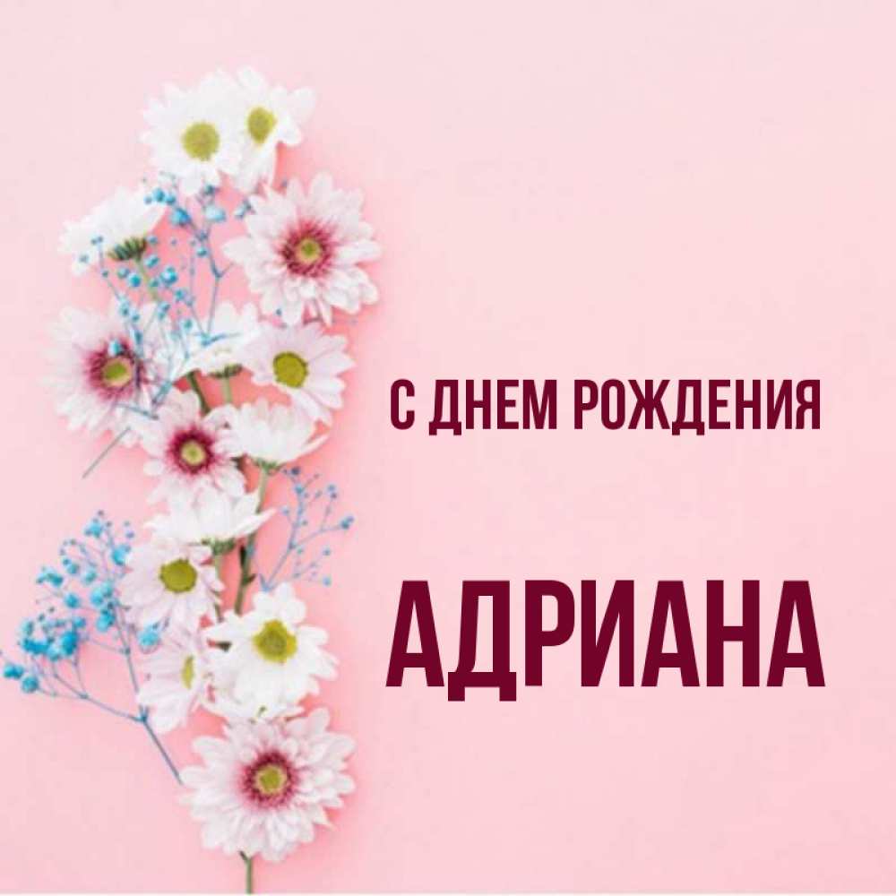 Картинки с днем рождения адриана