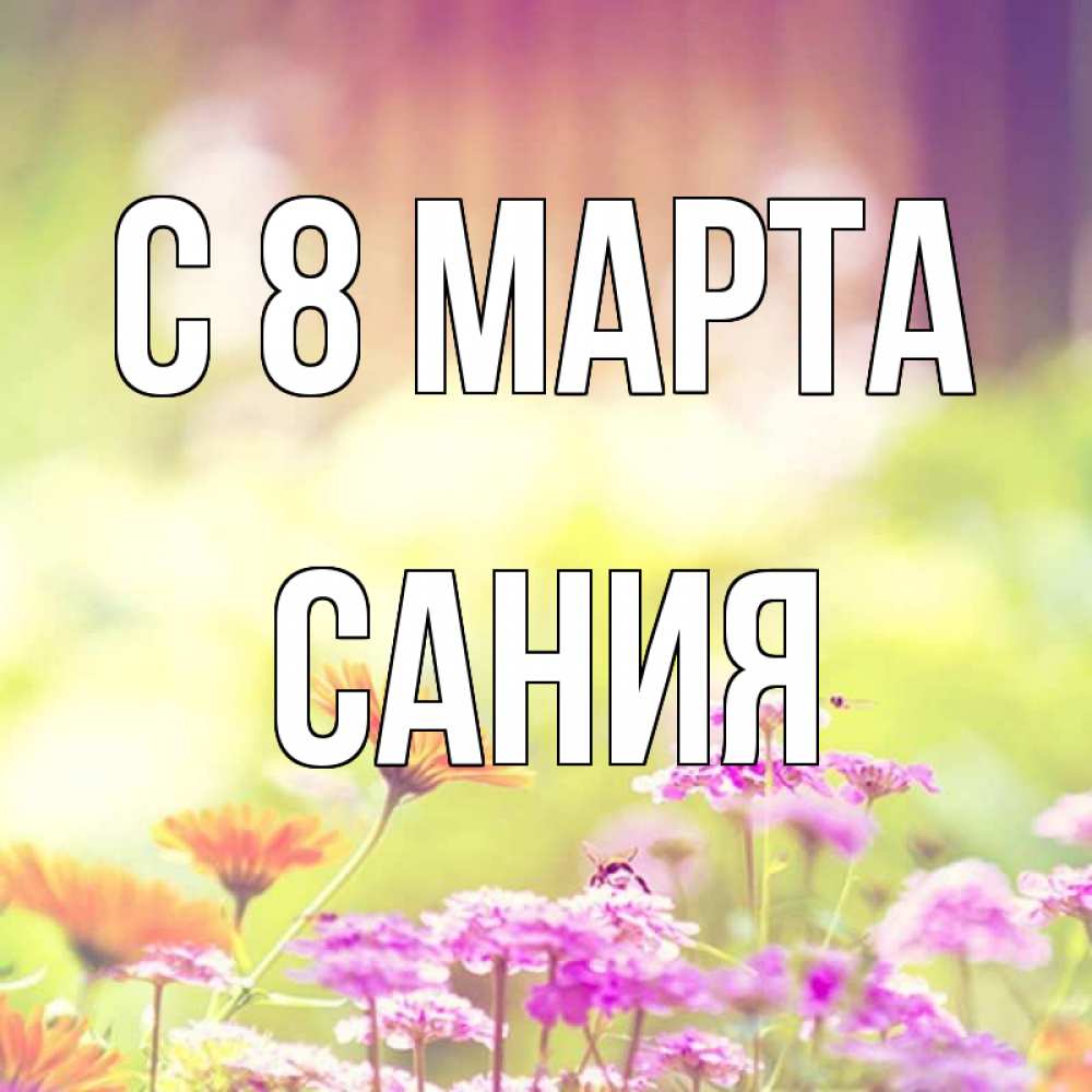 Открытка на каждый день с именем, Сания С 8 марта цветы весна Прикольная открытка с пожеланием онлайн скачать бесплатно 