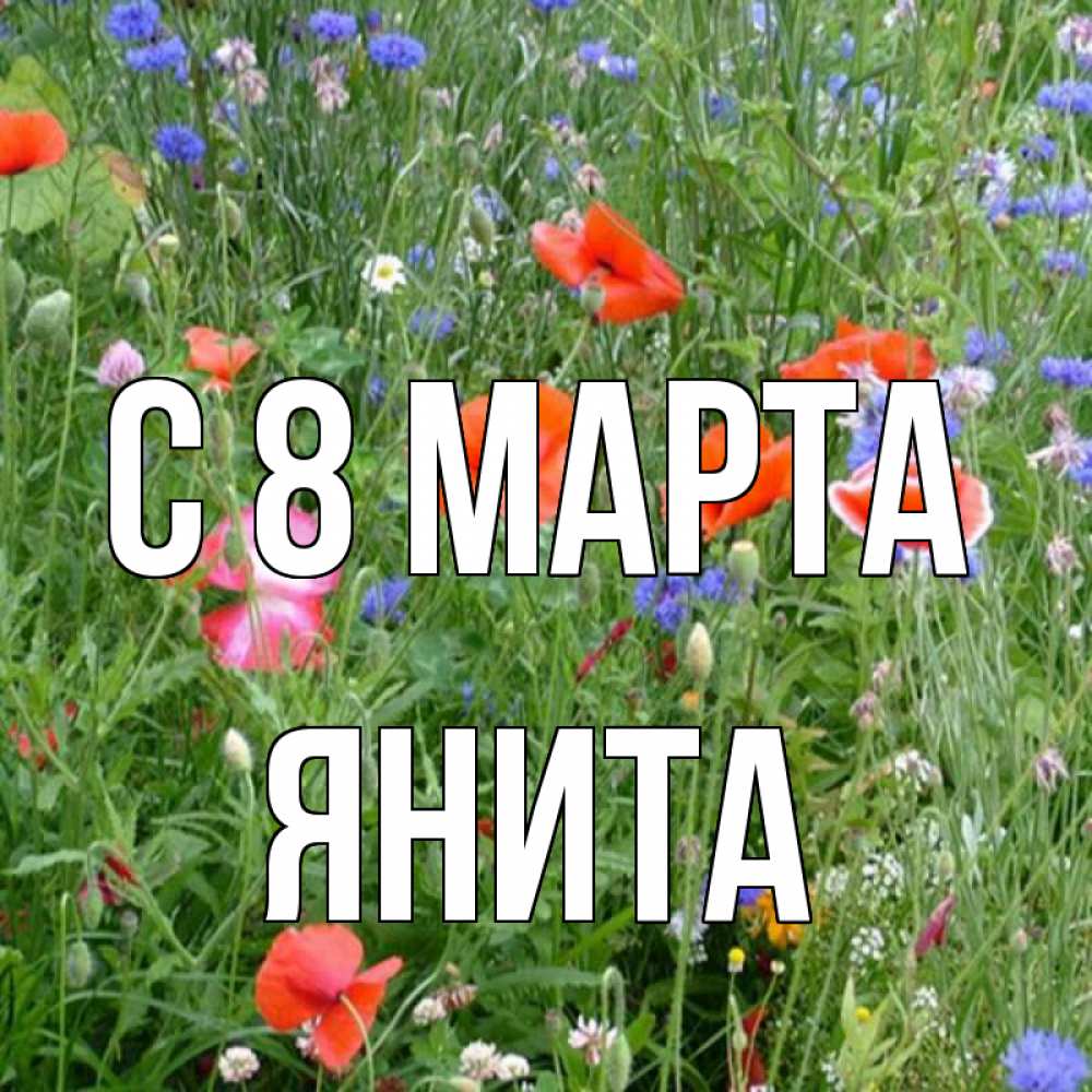 Открытка на каждый день с именем, Янита С 8 марта международный женский день 4 Прикольная открытка с пожеланием онлайн скачать бесплатно 