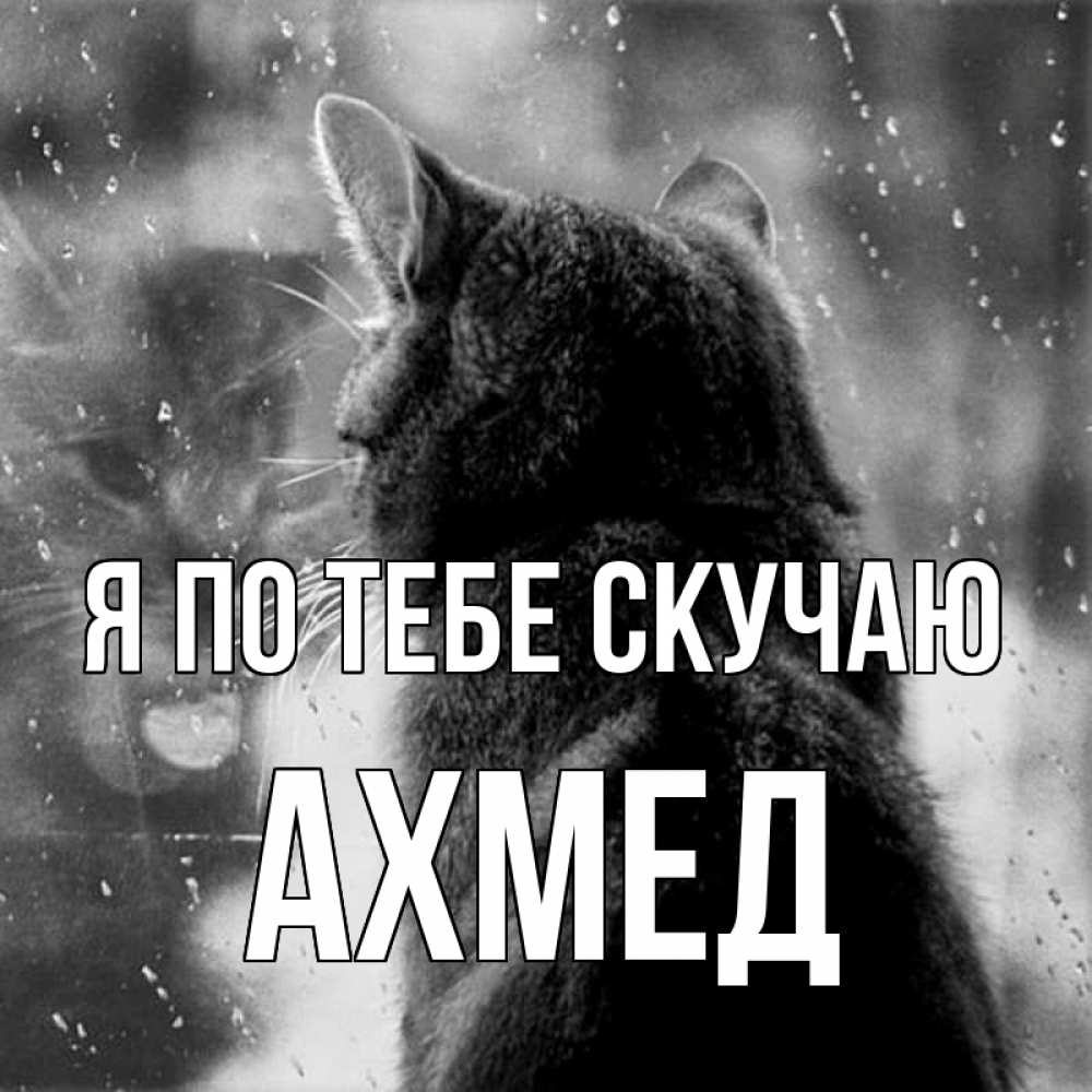 поздравления по имени ахмед часто