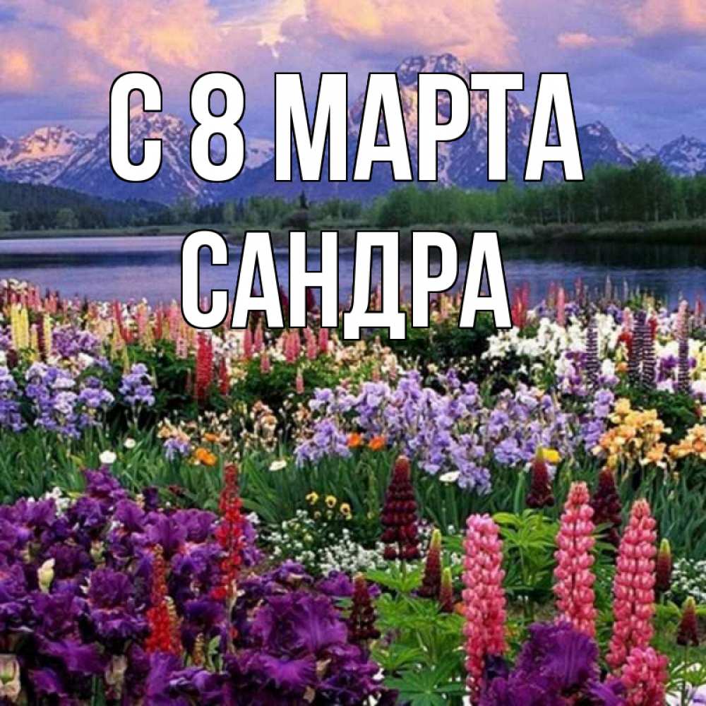 Открытка на каждый день с именем, Сандра С 8 МАРТА международный женский день Прикольная открытка с пожеланием онлайн скачать бесплатно 