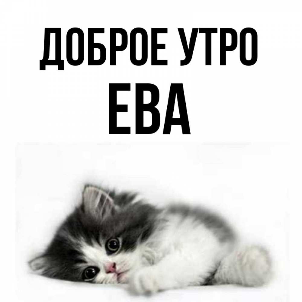 Июлем, прикольные картинки с именем ева