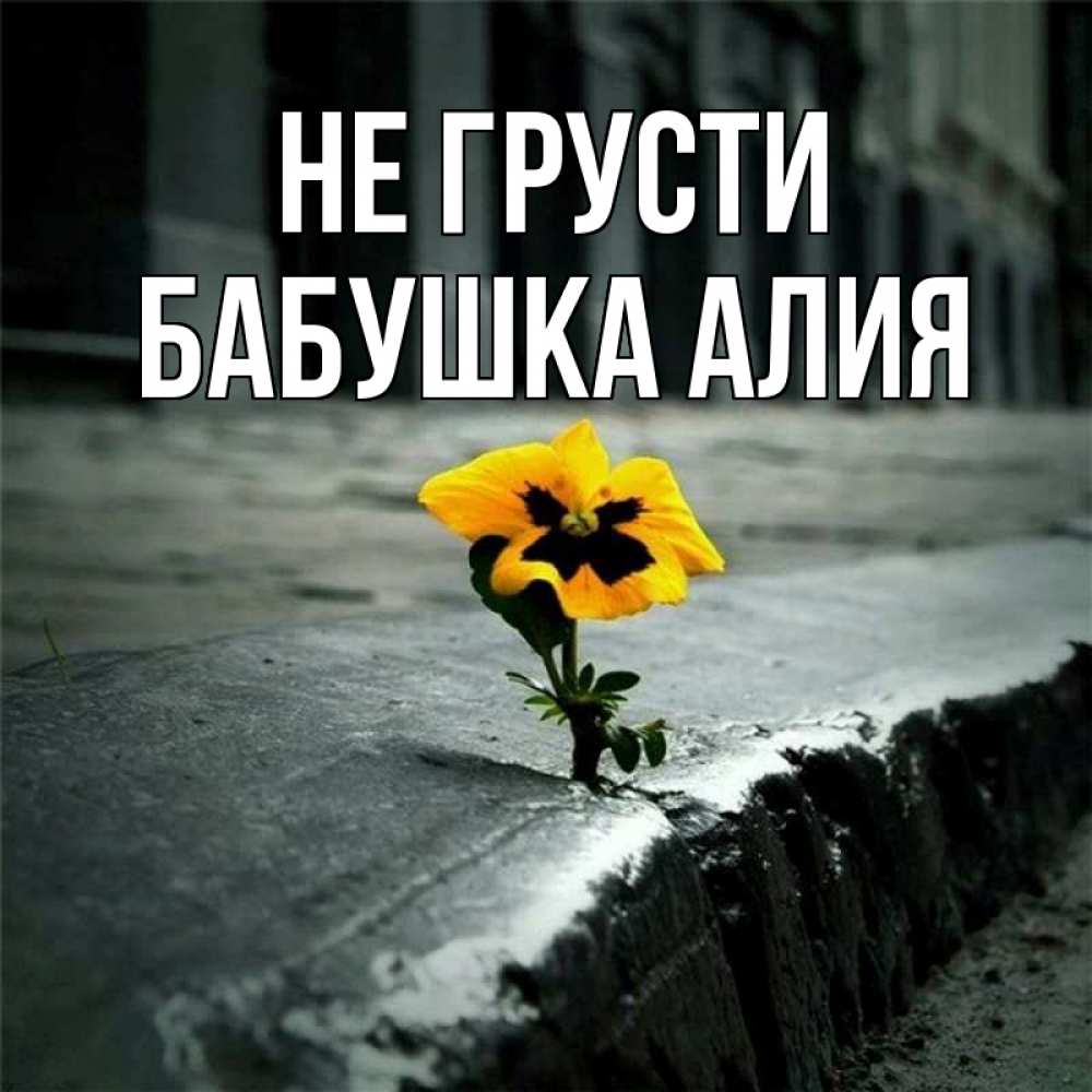 Открытка на каждый день с именем, Бабушка-Алия Не грусти не сдавайся Прикольная открытка с пожеланием онлайн скачать бесплатно 