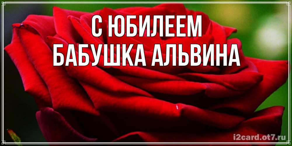 Открытка на каждый день с именем, Бабушка-Альвина С юбилеем розочка очень красивая Прикольная открытка с пожеланием онлайн скачать бесплатно 