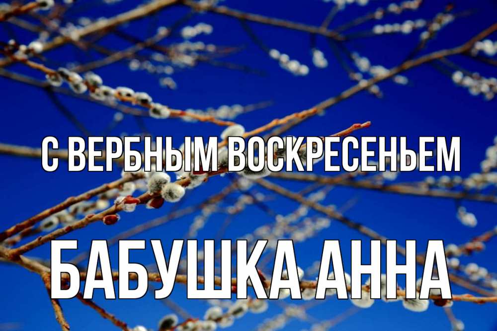 Открытка на каждый день с именем, Бабушка-Анна С вербным воскресеньем верба Прикольная открытка с пожеланием онлайн скачать бесплатно 