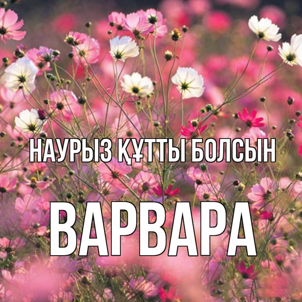 Открытка на каждый день с именем, Варвара Наурыз құтты болсын красиво 1 Прикольная открытка с пожеланием онлайн скачать бесплатно 