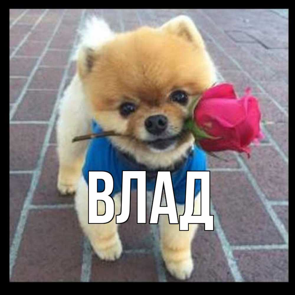 Картинка  с именем , Влад