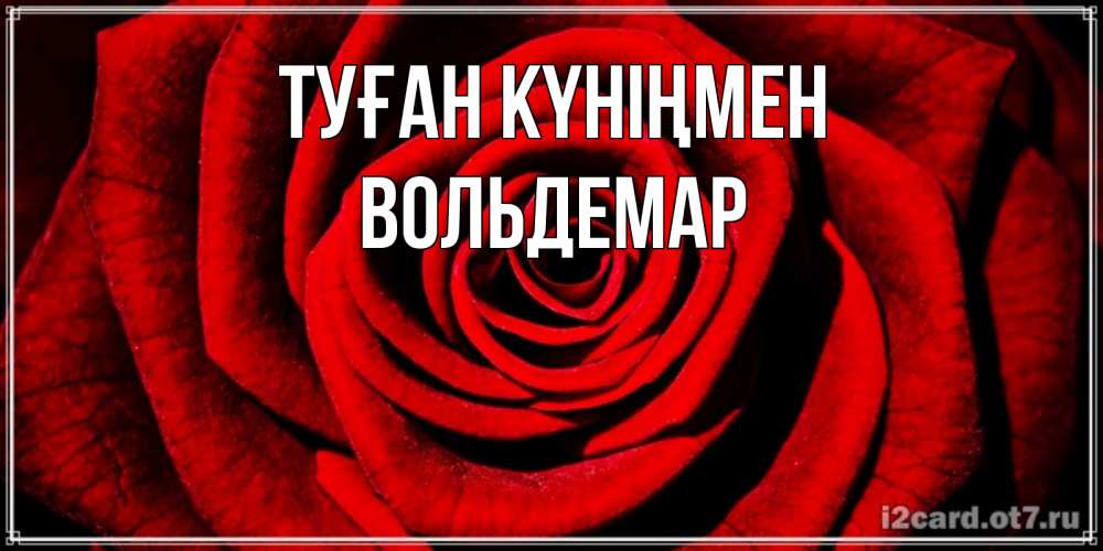 Открытка на каждый день с именем, Вольдемар Туған күніңмен алая роза Прикольная открытка с пожеланием онлайн скачать бесплатно 