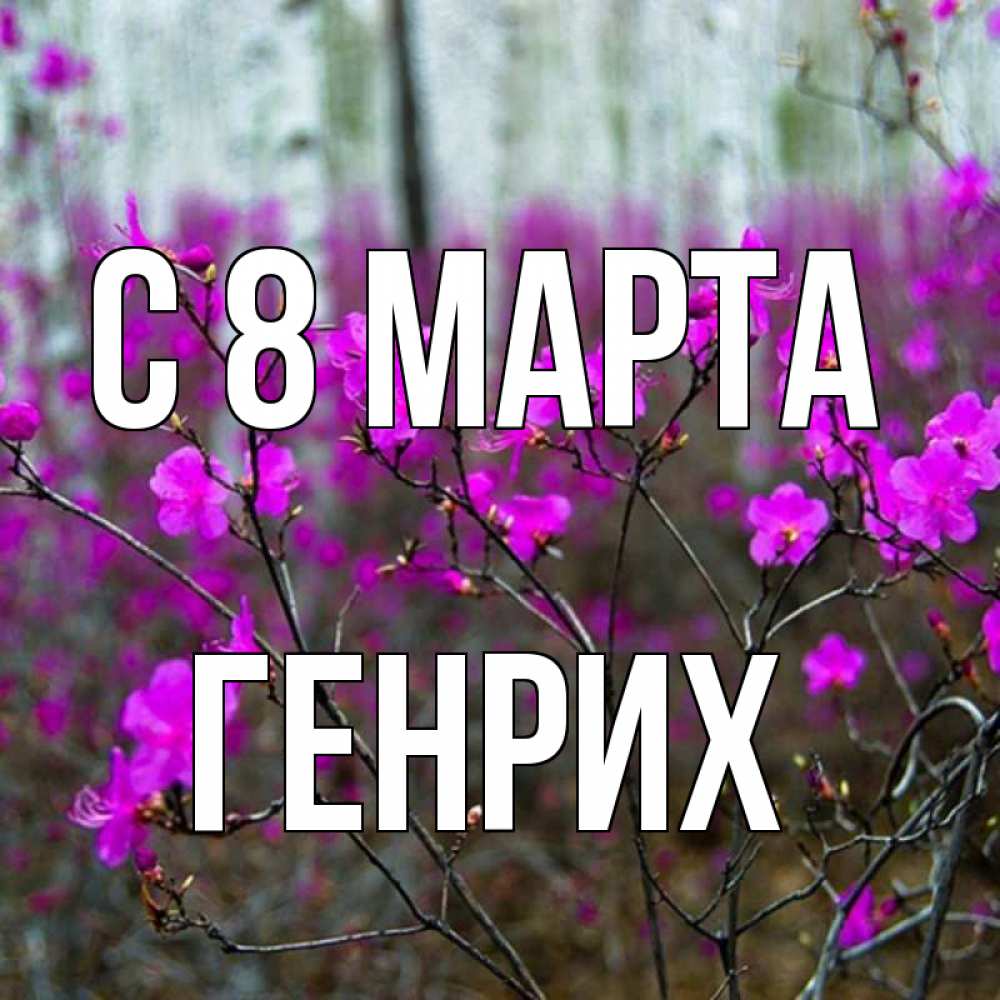 Открытка на каждый день с именем, Генрих С 8 МАРТА дикие цветы Прикольная открытка с пожеланием онлайн скачать бесплатно 