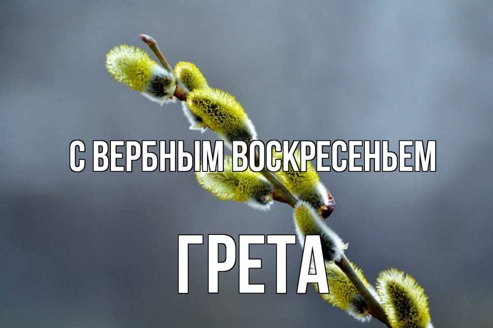 Открытка на каждый день с именем, Грета С вербным воскресеньем верба Прикольная открытка с пожеланием онлайн скачать бесплатно 