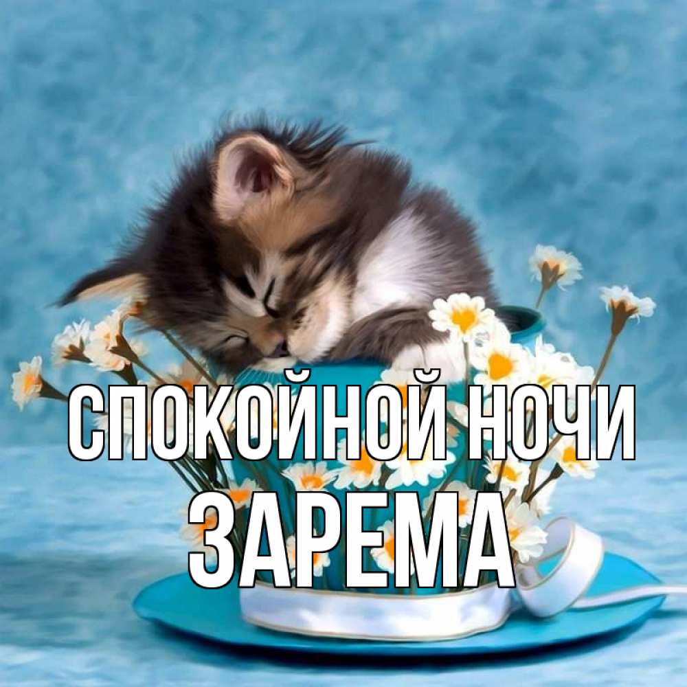 Открытка на каждый день с именем, Зарема Спокойной ночи котенок спит в кружке с блюдцем Прикольная открытка с пожеланием онлайн скачать бесплатно 