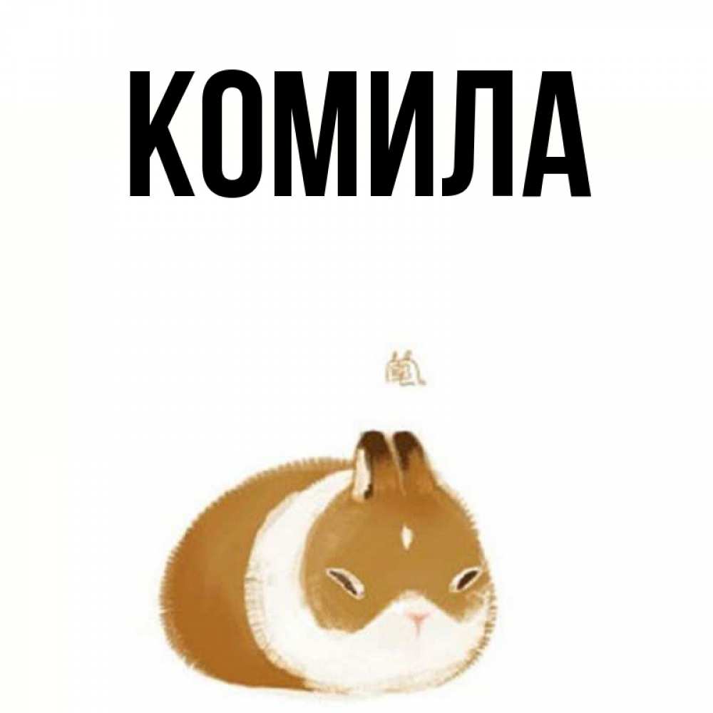 Открытка на каждый день с именем, Комила Главная коричнево белый домашний питомец Прикольная открытка с пожеланием онлайн скачать бесплатно 