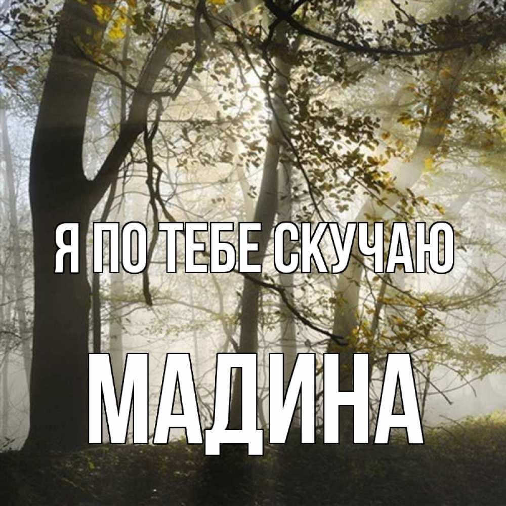 Открытка на каждый день с именем, Мадина Я по тебе скучаю грустно Прикольная открытка с пожеланием онлайн скачать бесплатно 