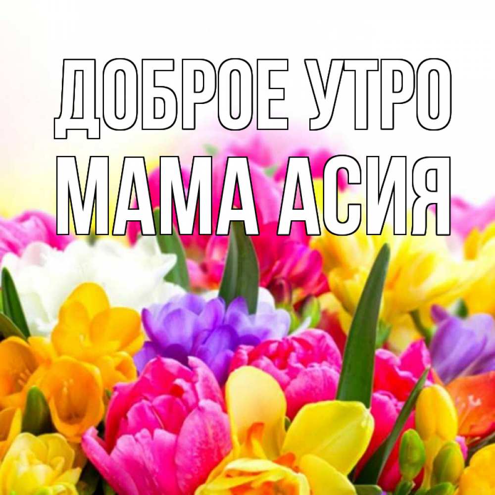 Открытка на каждый день с именем, Мама-Асия Доброе утро создать открытку со свое подписью Прикольная открытка с пожеланием онлайн скачать бесплатно 