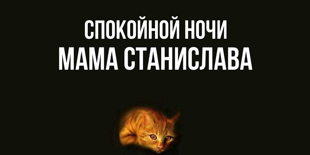 Открытка на каждый день с именем, Мама-Станислава Спокойной ночи кот Прикольная открытка с пожеланием онлайн скачать бесплатно 