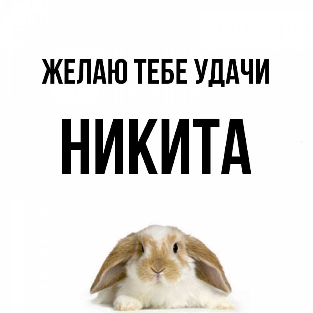 Открытка на каждый день с именем, Никита Желаю тебе удачи открытки с произвольным текстом который можно вставить в открытку и создать ее самостоятельно бесплатно онлайн Прикольная открытка с пожеланием онлайн скачать бесплатно 