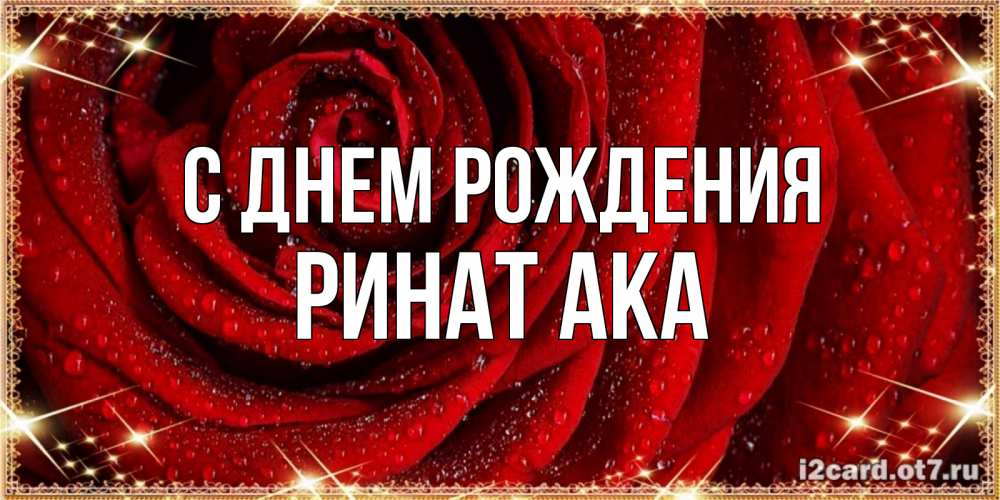 Открытка на каждый день с именем, Ринат-ака С днем рождения роса на розе блестящая в лучах солнца Прикольная открытка с пожеланием онлайн скачать бесплатно 