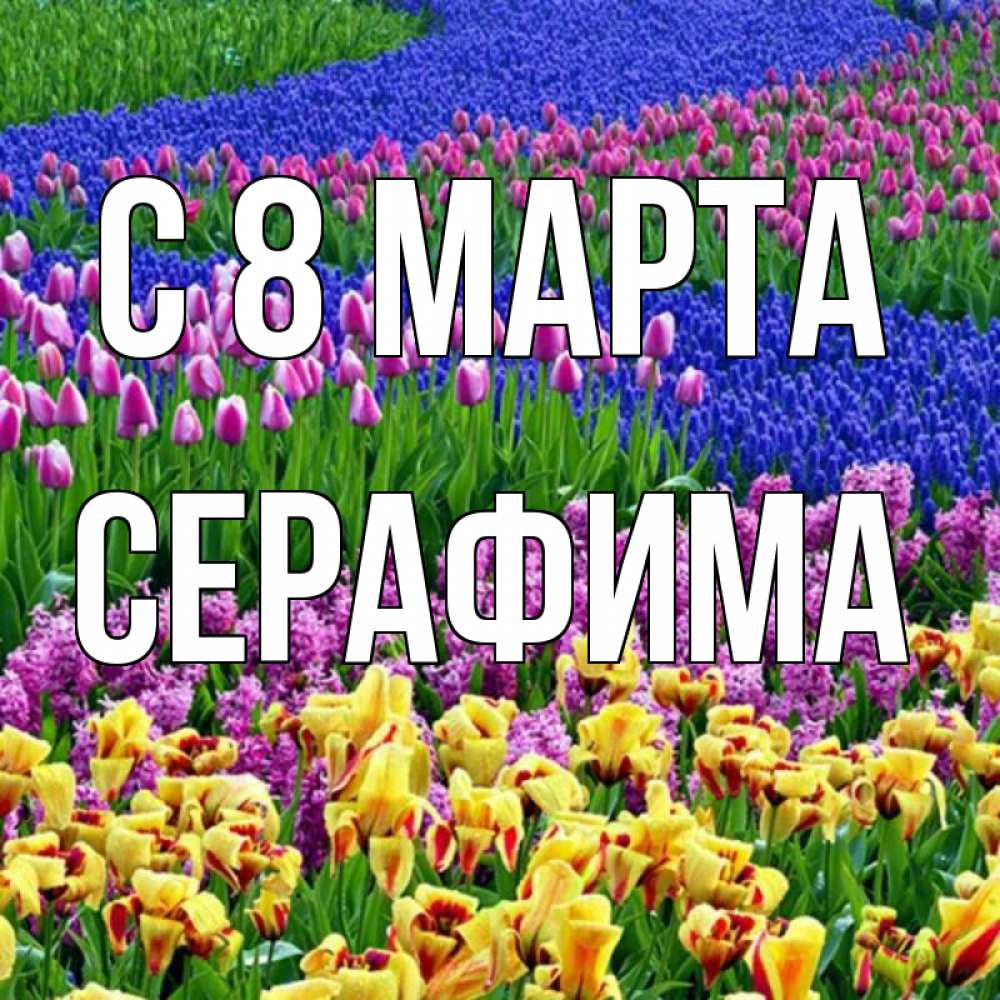 Открытка на каждый день с именем, Серафима С 8 МАРТА цветы Прикольная открытка с пожеланием онлайн скачать бесплатно 