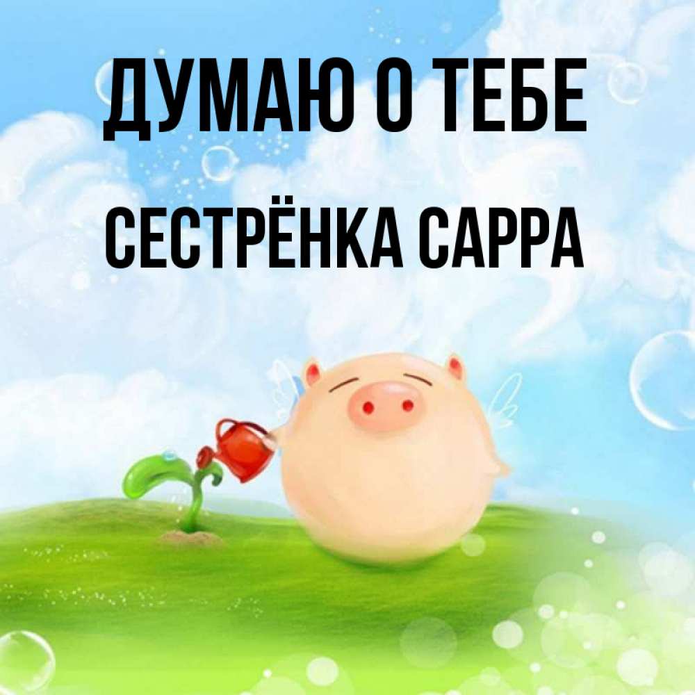 Открытка на каждый день с именем, Сестрёнка-Сарра Думаю о тебе позитивная свинюшка Прикольная открытка с пожеланием онлайн скачать бесплатно 