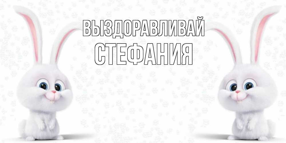 Открытка на каждый день с именем, Стефания Выздоравливай не болей с зайцем Прикольная открытка с пожеланием онлайн скачать бесплатно 